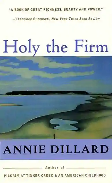 Cover of Holy the Firm