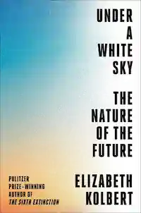 Cover of Under a White Sky